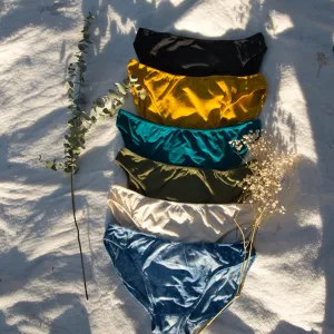 Ocean 5 Pack Hemp, Organic Cotton and Bamboo BIKINI Cut Panties