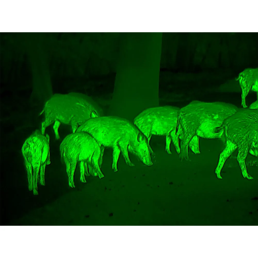 Zeiss DTI 4/35 Thermal Imaging Cameras