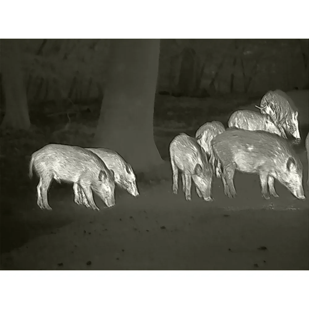 Zeiss DTI 4/35 Thermal Imaging Cameras