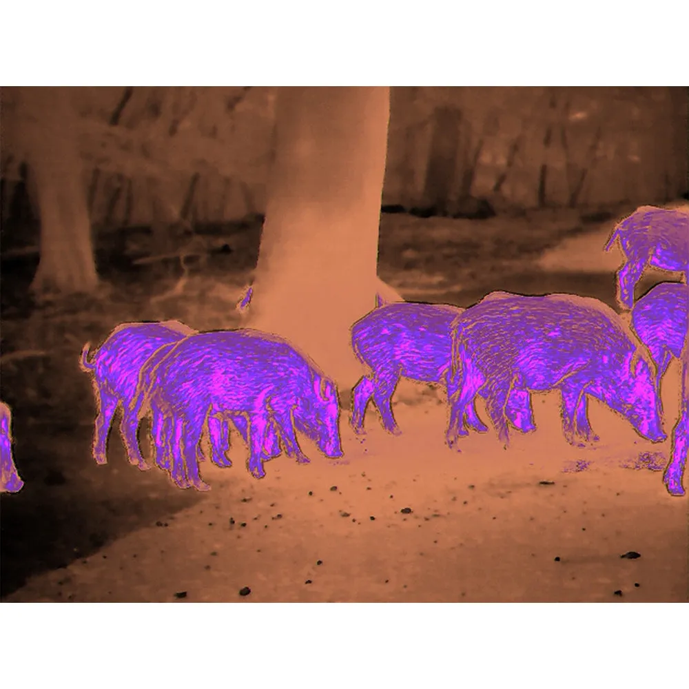 Zeiss DTI 4/35 Thermal Imaging Cameras