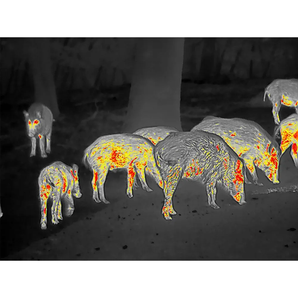 Zeiss DTI 4/35 Thermal Imaging Cameras